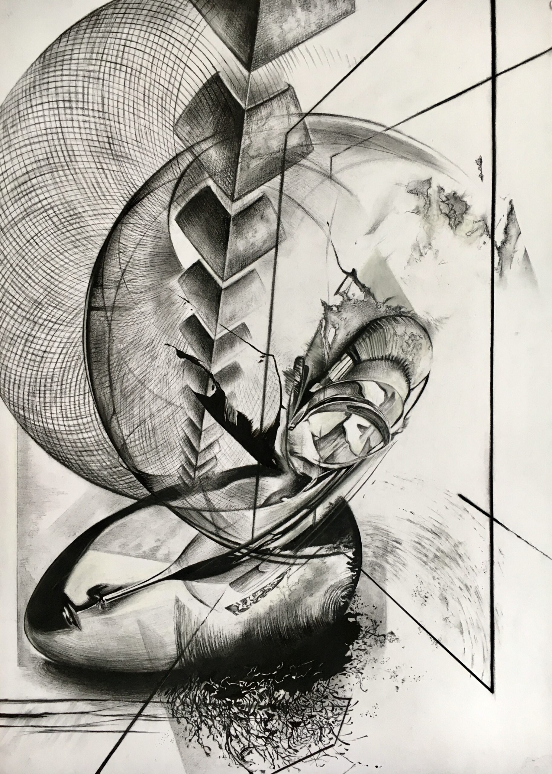 Cosmos- 70x50 cm , charcoal and liner on cardboard